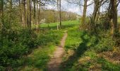 Tocht Stappen Thuin - Gozée-bois de Reumont-Gozée - Photo 4