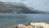 Tocht Stappen Korčula - korbkula - Photo 1