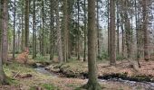 Trail Walking Spa - A la découverte de Spa et de son lac 🥾 - Photo 6