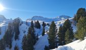 Trail Snowshoes La Plagne-Tarentaise - Bellecôte, Plagne Soleil, Centre, 1800 - Photo 6