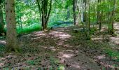 Tour Wandern Le Castellard-Mélan - Sentier de découverte du Col de Fontbelle - Photo 5