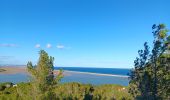 Trail Walking Leucate - leucate . franki plage . leucate - variante - Photo 6