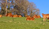 Tour Wandern Banize - Itinérant Millevaches 2025 E2 Banize - Le Villard - Photo 12