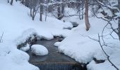 Excursión Raquetas de nieve Allos - Rando Raquettes Val d'Allos  - Photo 1