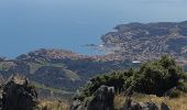 Trail Walking Collioure - Collioure La tour de Madaloc - Photo 8