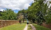 Tour Wandern Kestenholz - Le Hahnenberg et les balcons de Sélestat - Photo 4