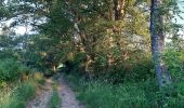 Trail Walking Barizey - Bourgogne à pied - Photo 12