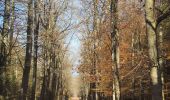Trail Walking Lierneux - rando reharmont 6/11/2020 - Photo 12