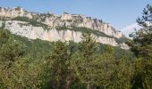 Excursión Senderismo Châtillon-en-Diois - Promenade des Vautours - Archiane - Photo 10