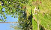 Trail On foot Stoumont - petite boucle sur Rahier - Photo 2