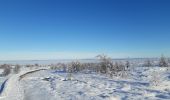 Randonnée Marche Waimes - botrange au dessus des nuages  - Photo 9