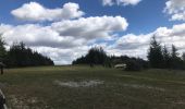 Tocht Stappen Bouziès - Vallée du lot - Vallée du Celle - Photo 6