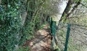 Trail Walking Pont-à-Celles - Buzet - Rosseignies - Obaix - Buzet - Photo 13