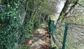 Randonnée Marche Pont-à-Celles - Buzet - Rosseignies - Obaix - Buzet - Photo 13