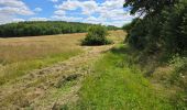 Tocht Stappen La Chapelle-Enchérie - La Chapelle-Enchérie - Bois de Bricsard - Photo 11