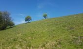 Tocht Stappen Mittlach - Lac d'Altenweiher - Photo 9