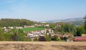 Trail Walking Beaumont-sur-Oise - Beaumont sur oise Noisy sur oise - Photo 2