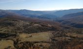 Tocht Stappen La Roche-sur-le-Buis - la montagne de Banne  - Photo 9