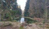 Trail On foot Taunusstein - Rundwanderweg Geweih - Photo 2