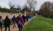 Trail Walking Menars - menais bord de Loire  - Photo 11
