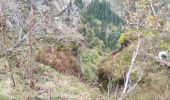 Randonnée Marche Orbey - Vallée des 5 lacs  - Photo 12