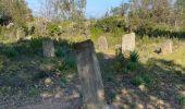 Trail Walking Les Arcs-sur-Argens - Les arcs les menhirs des terriers  - Photo 2