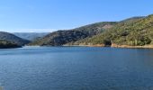 Tocht Stappen La Môle - La Mole - Barrage de la Verne  - Photo 12