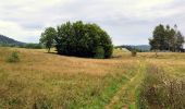 Tocht Stappen Les Déserts - SityTrail - BAUGES: LA FECLAZ - CROIX DU NIVOLLET - Photo 4