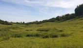 Trail Walking La Calotterie - Autour de Montreuil sur mer  - Photo 19