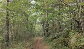 Tour Wandern Verrières-en-Forez - Au dessus de Verriéres en Forez  - Photo 11