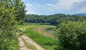 Randonnée Marche Arboys-en-Bugey - lac darmaille en amoureux - Photo 1