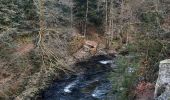 Trail Walking Thiéfosse - gorges de Crosery  - Photo 7