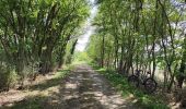 Tour Mountainbike Saint-Priest - Saint-Priest Cyclisme sur route - Photo 1