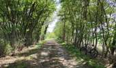 Percorso Mountainbike Saint-Priest - Saint-Priest Cyclisme sur route - Photo 1