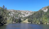 Excursión Senderismo Orbey - Col du Wettstein - Hautes-Huttes - Lac du Forlet - Lac Vert - Photo 10