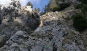 Trail Walking Trévignin - la boucle du Mont Revard par le golet de la pierre et la crémaillère  - Photo 4