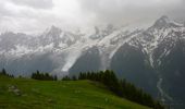 Trail Walking Les Houches - Parc Animalier Merlet - Chalets de Chailloux - Aiguillettes des Houches - Photo 9