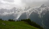 Randonnée Marche Les Houches - Parc Animalier Merlet - Chalets de Chailloux - Aiguillettes des Houches - Photo 9