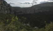 Randonnée Marche Minerve - Minerve - Gorges du Briant par le GR77 - Photo 11