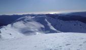 Trail Touring skiing Valdeblore - Pèpoiri et Petoumier - Photo 4