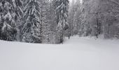 Trail Cross-country skiing Mijoux - puthod - Photo 5
