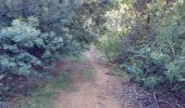 Trail Walking Pégomas - test.  - Photo 4
