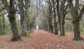 Tocht Stappen Beauraing - Pondrôme 23 km - Photo 4