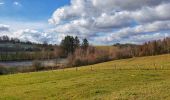 Tocht Stappen Gedinne - Balade à Malvoisin - Gedinne - Photo 1