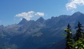 Percorso Marcia La Clusaz - ARAVIS: TETE DU DANAY via Mortenay et Pézerette - Photo 2