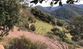 Tour Wandern Saint-Raphaël - Les suvières via le pic de l'ours depuis ND - Photo 4