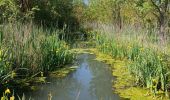 Tour Wandern Vias - Camping Ste Cécile-La Tamarissière-Farinette - Photo 10