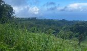 Tocht Trail Saint-Claude - Beausoleil  - Photo 2