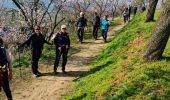 Trail Walking Kaysersberg-Vignoble - Rando CLAS du 29/02/2025 - Photo 4