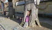 Tour Zu Fuß Lanaken - Oud-Rekem Gele zeshoek - Photo 6